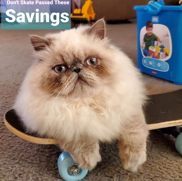 Ambroshee - Mama's Feroshee, Precoshee - Picture 1 of 1